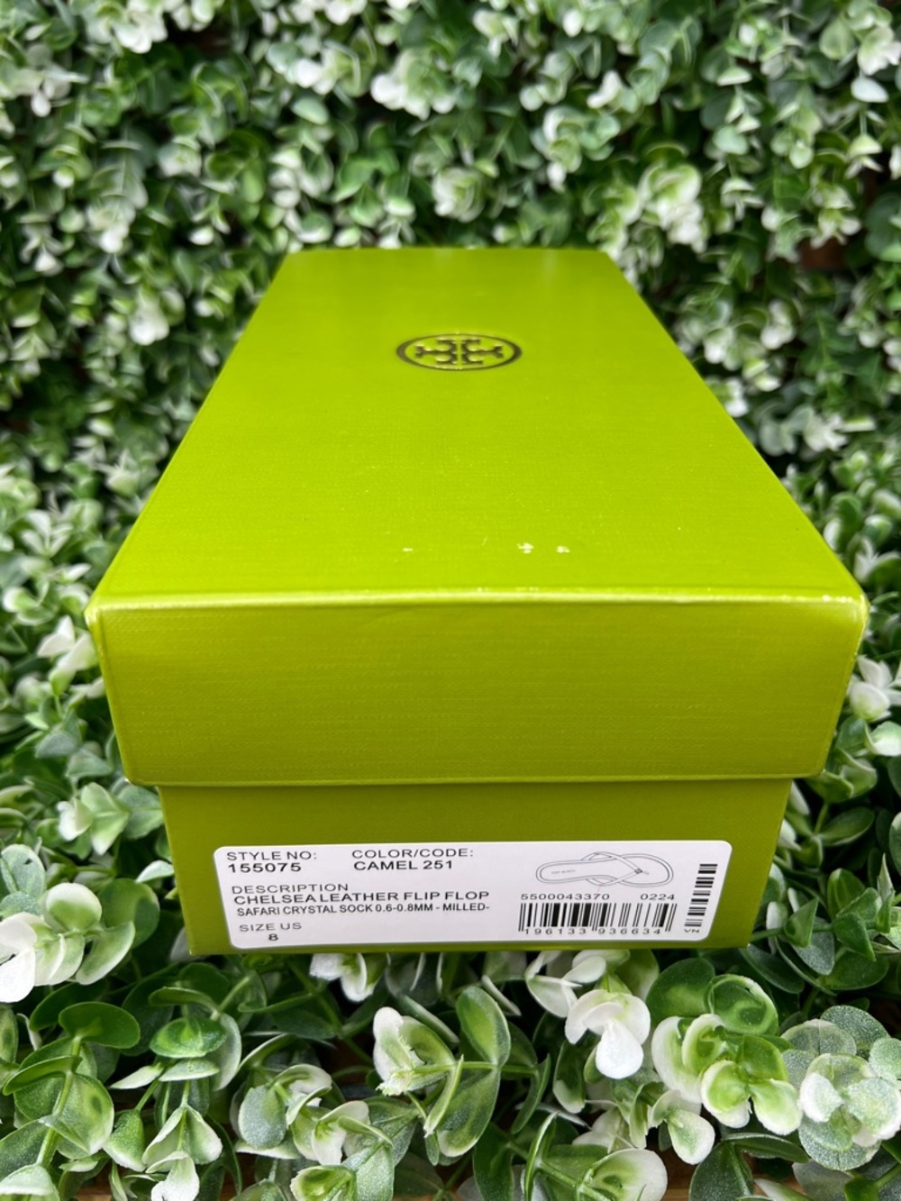 Tory Burch Green Shoe Box / Tissue Paper - Picture 7 of 12